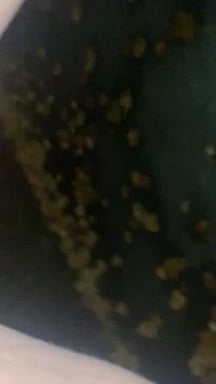 Had to pee in public, too desperate