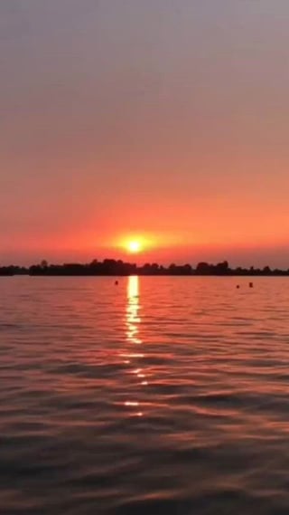 Anyone know this lady girl woman